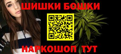 МДПВ Камышлов
